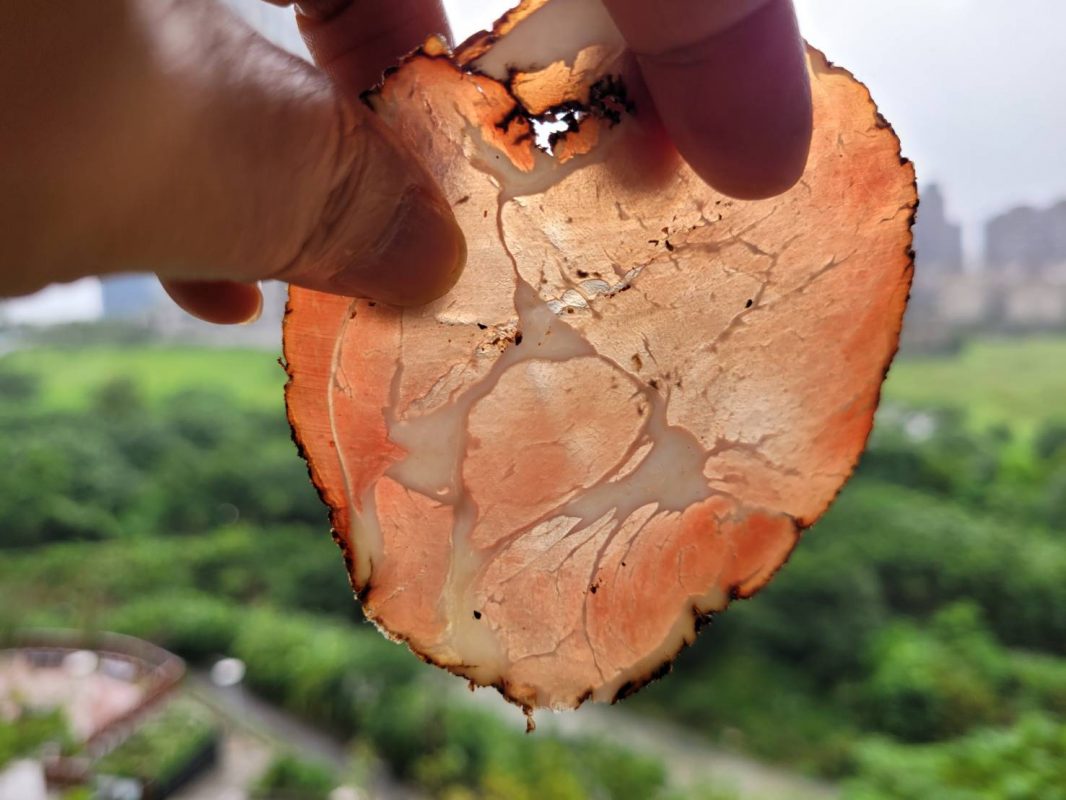 瑞士小屋 Alphütte